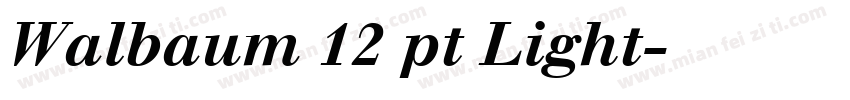 Walbaum 12 pt Light字体转换